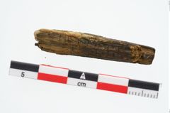 Foto von Holzbruchstücke (NHMW-PRAE-026877)